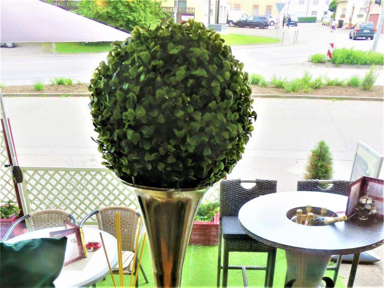 Hotel Conditorei Cafe Baier Schoemberg  ภายนอก รูปภาพ